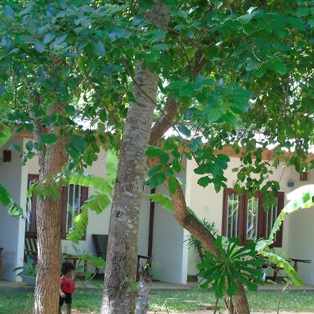 Talalla Coconut Hotel المظهر الخارجي الصورة
