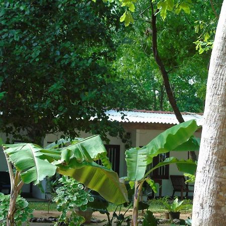 Talalla Coconut Hotel المظهر الخارجي الصورة