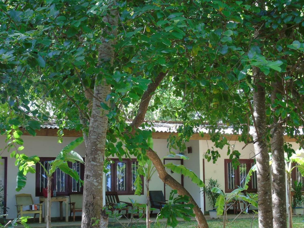 Talalla Coconut Hotel المظهر الخارجي الصورة
