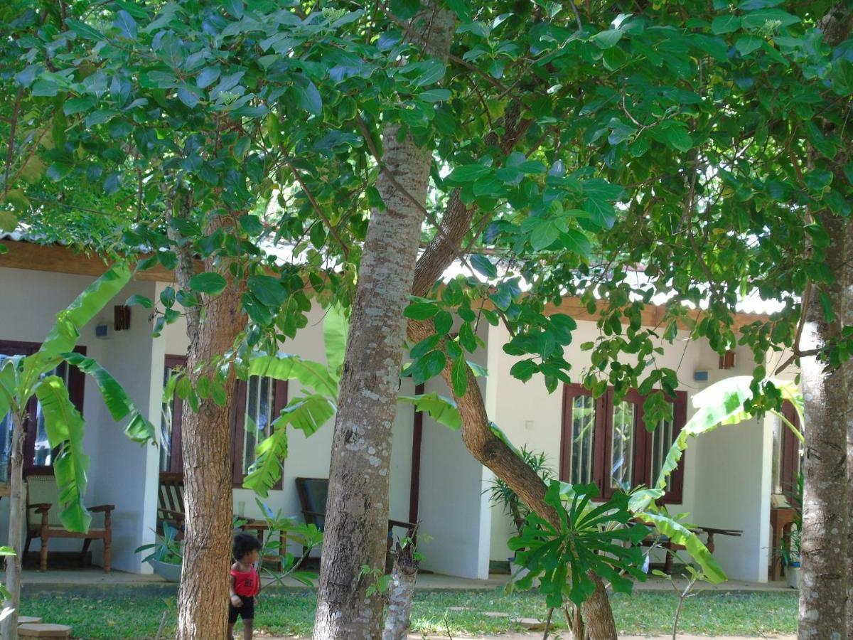 Talalla Coconut Hotel المظهر الخارجي الصورة