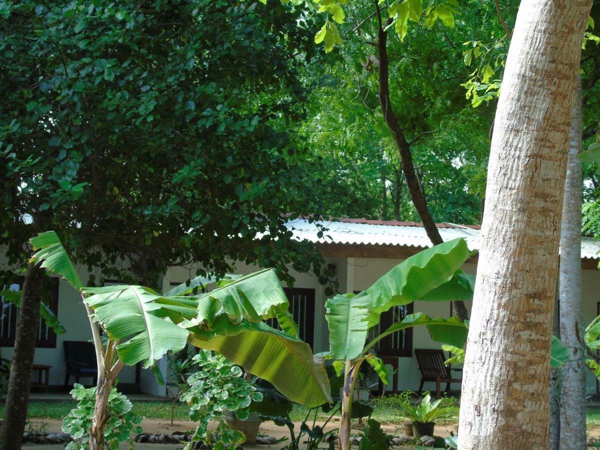 Talalla Coconut Hotel المظهر الخارجي الصورة