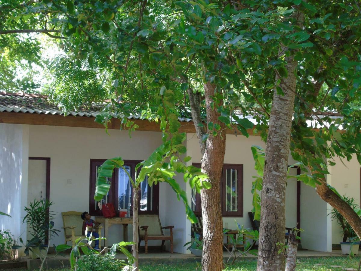 Talalla Coconut Hotel المظهر الخارجي الصورة