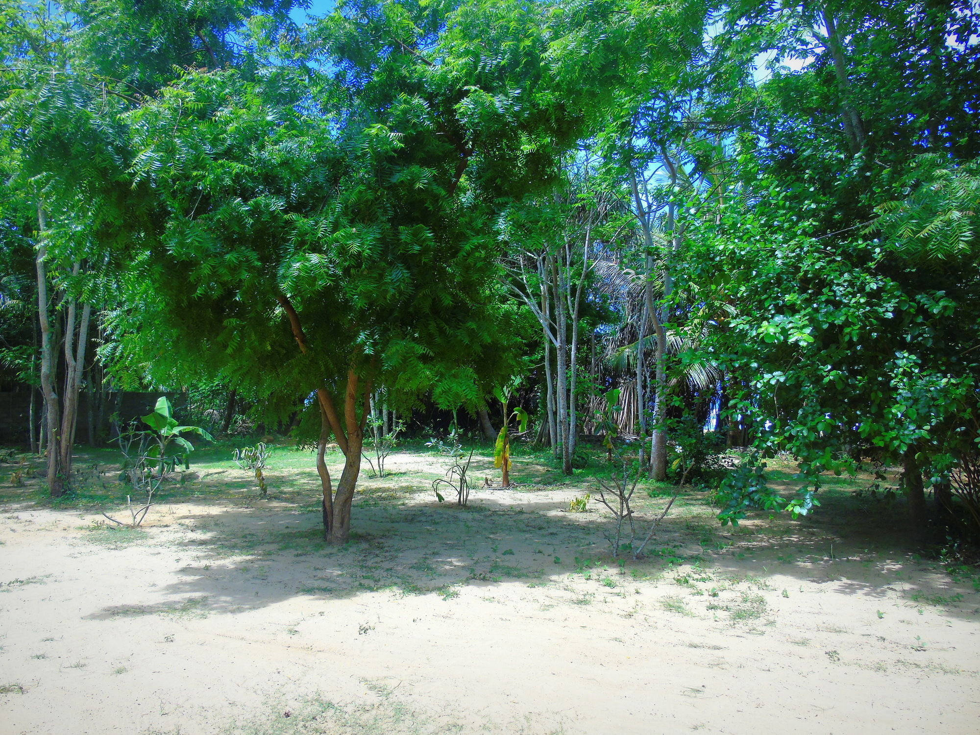 Talalla Coconut Hotel المظهر الخارجي الصورة