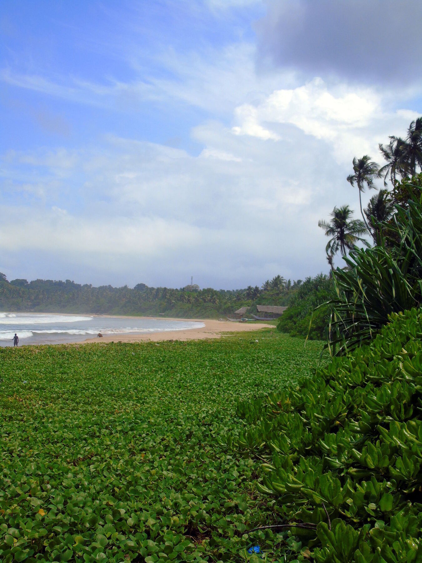 Talalla Coconut Hotel المظهر الخارجي الصورة